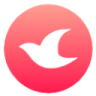 云鸽Logo